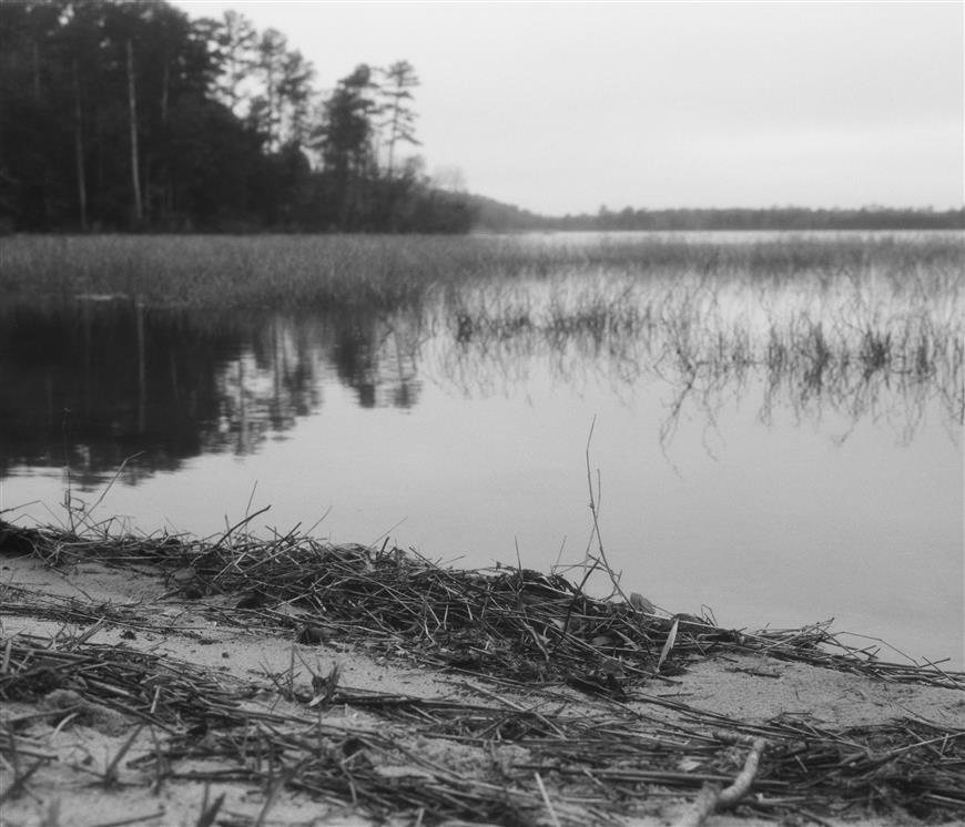 Spooky picture of the allegedly haunted Lake Tholocco near Fort Rucker in Alabama.