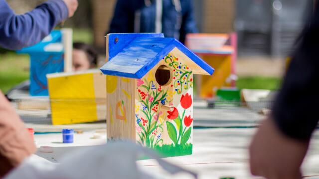 Best Birdhouse Kits for Your Backyard