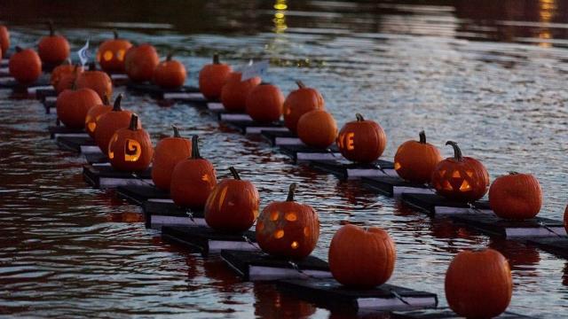 Best Pumpkin Recipes for Fall