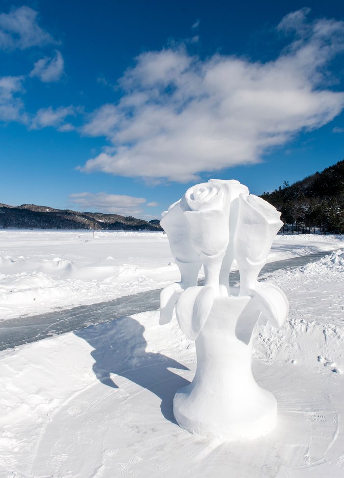 Ice sculpture of several roses in a vase on Lake Morey in Vermont.