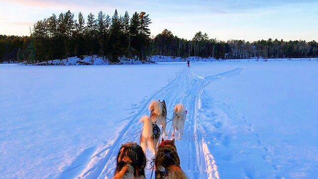 Canine Adventure: Dogsledding Across a Winter Lake Landscape