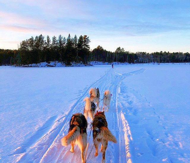 Canine Adventure: Dogsledding Across a Winter Lake Landscape