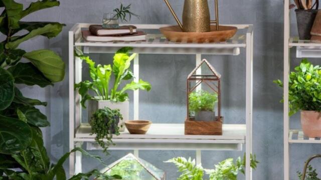 Top Grow Lights for Indoor Gardening