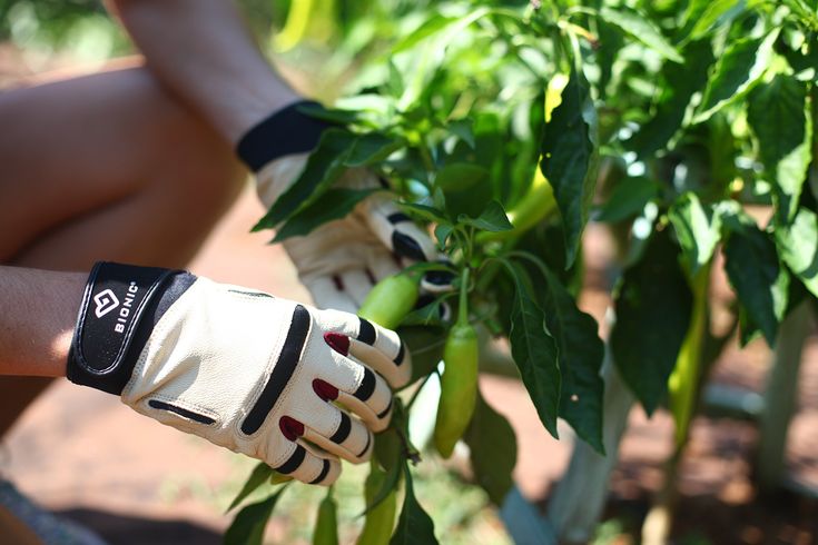 person wearing ergonomic bionic reliefgrip gardening gloves