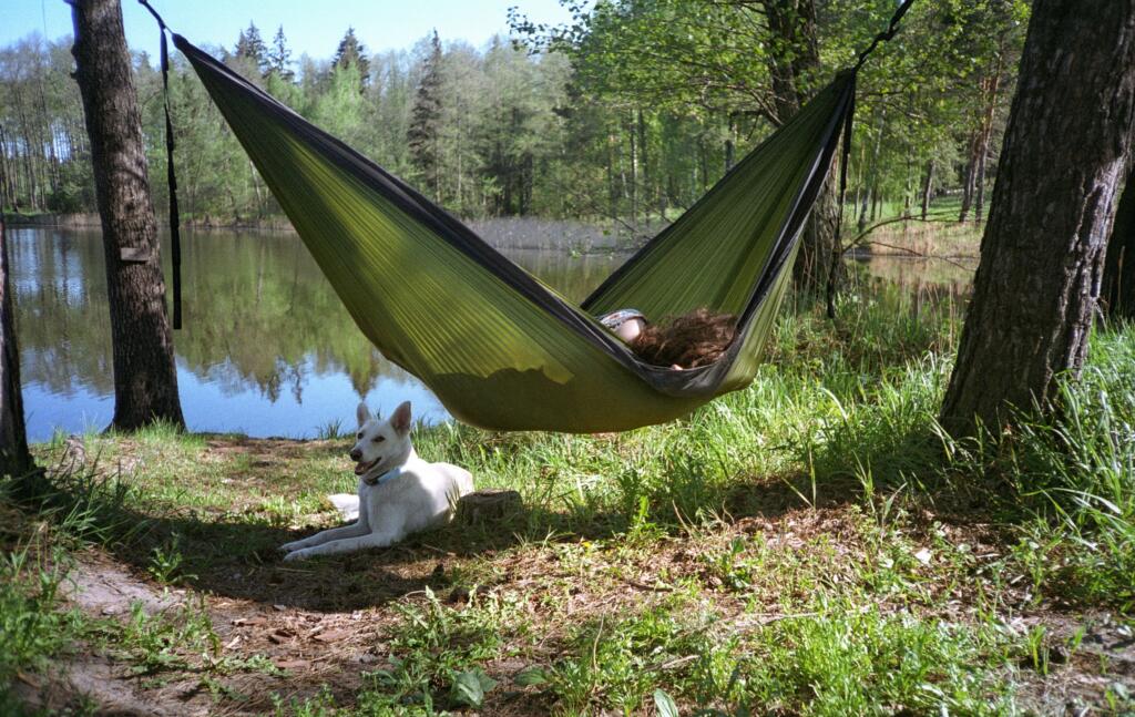 woman with a dog in a hammock near a lake