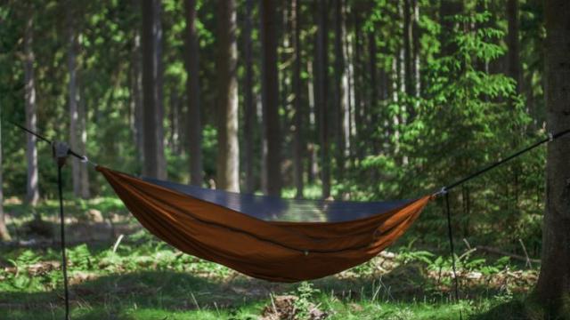 Top Hammocks for 2023