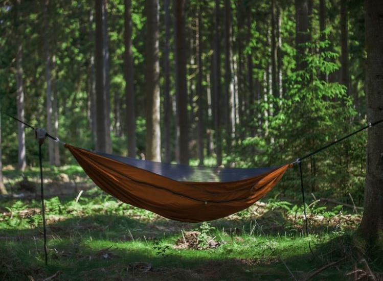 Top Hammocks for 2023