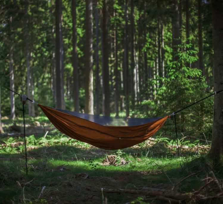 Warbonnet Original Blackbird Hammock in the woods