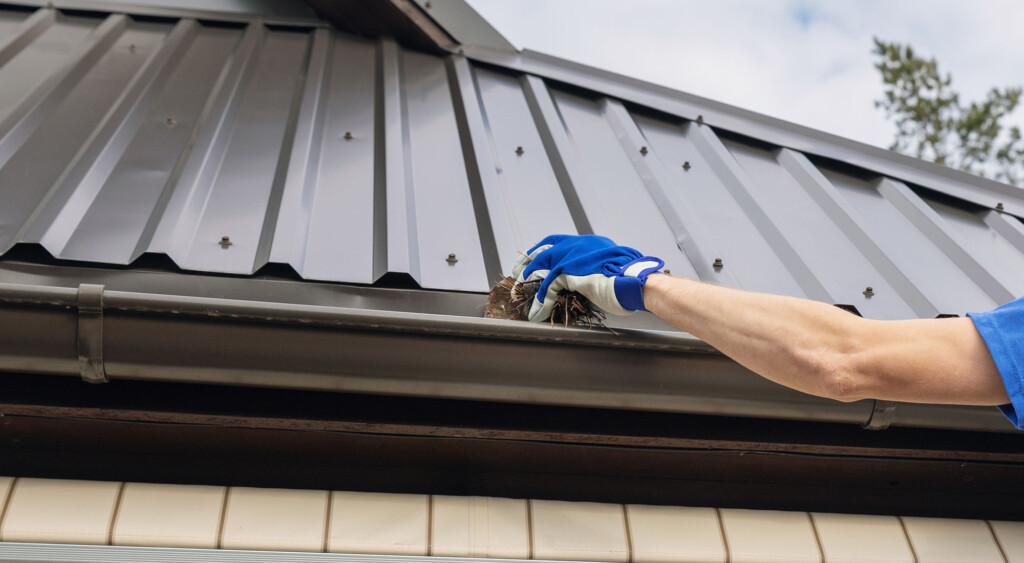 person with glove cleaning a gutter of a metal roof