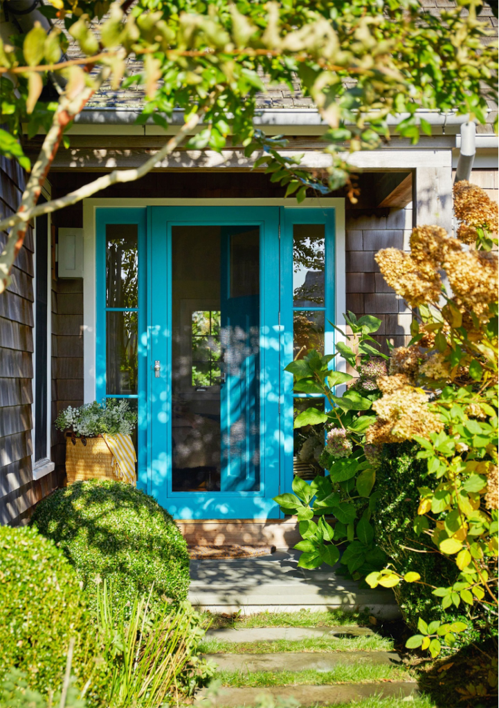 turquoise blue painted front door surrounded by green foliage