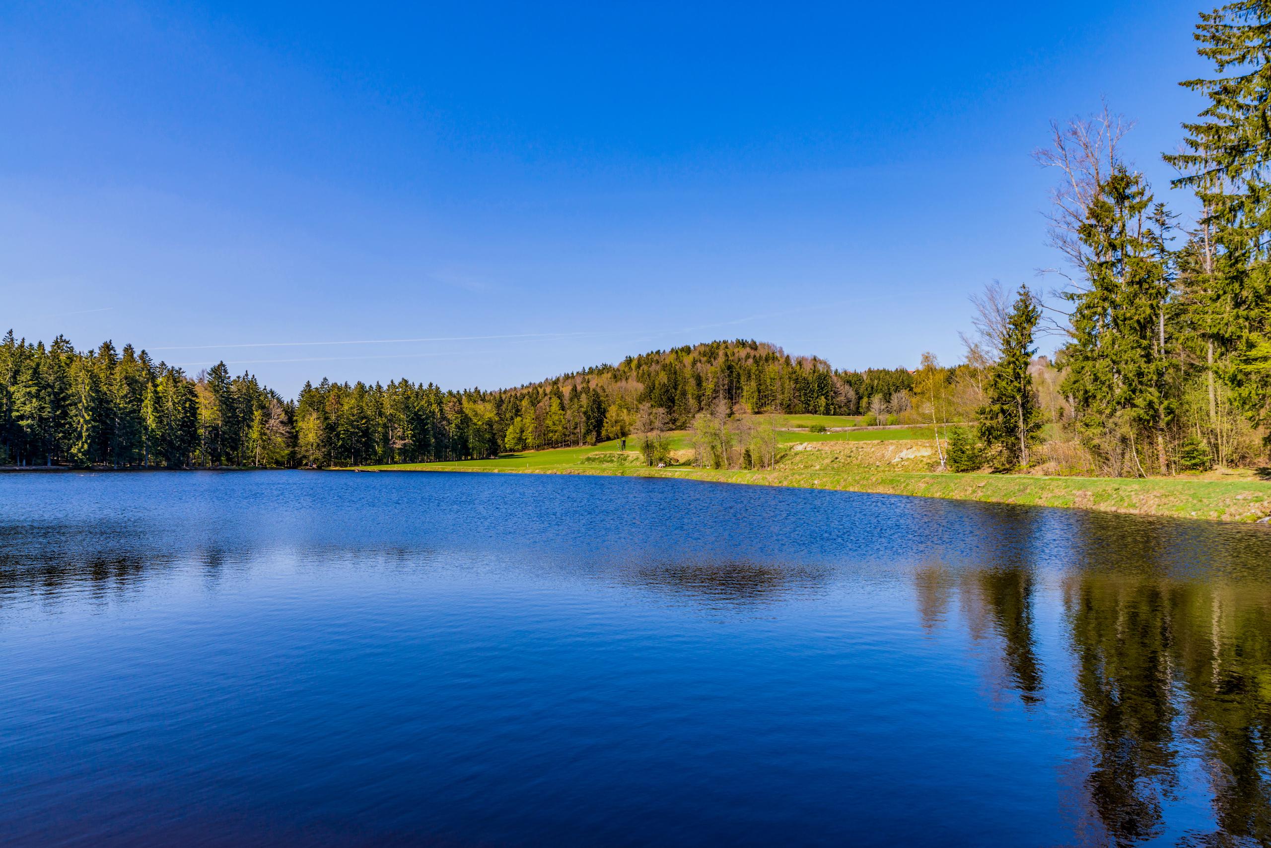 Lake Real Estate Market Report Shows More Than 76.5 Million in Lake