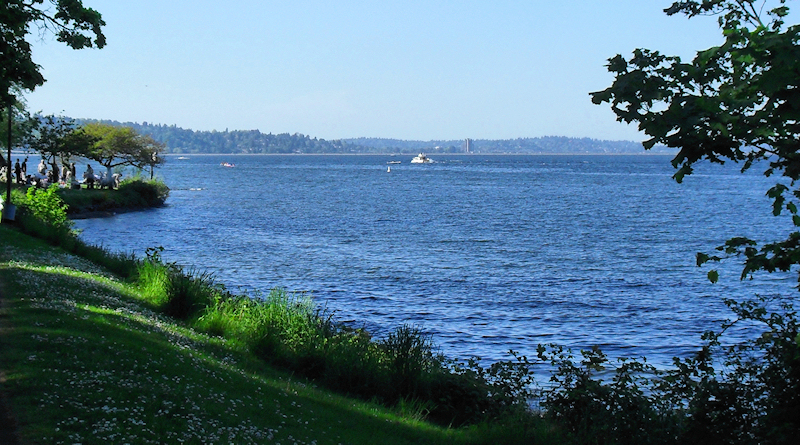 Lake Washington shore