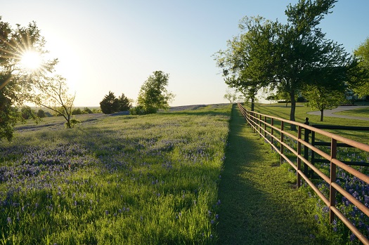 A lush, grassy countryside