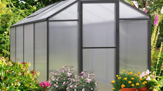 Top Greenhouse Kits