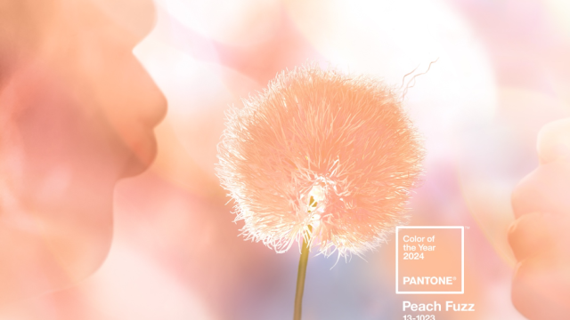Pantone’s Color of the Year 2024 13-1023 Peach Fuzz hero image