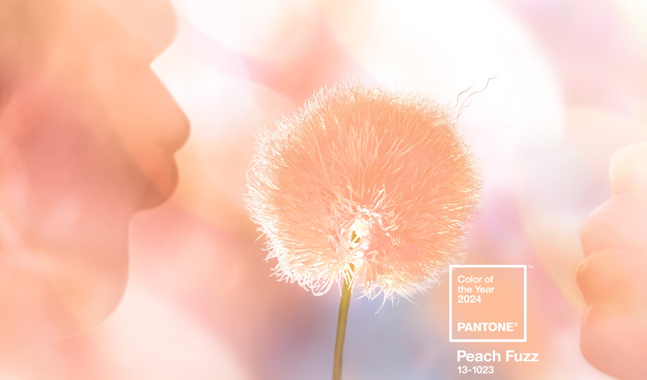 Pantone Color of the Year 2024: Wrap Your Lake Home in Elegant Warmth with Peach Fuzz!