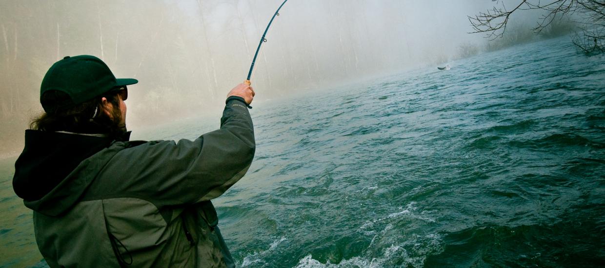 Fishing Beyond Limits: Top Apps for an Enhanced Experience