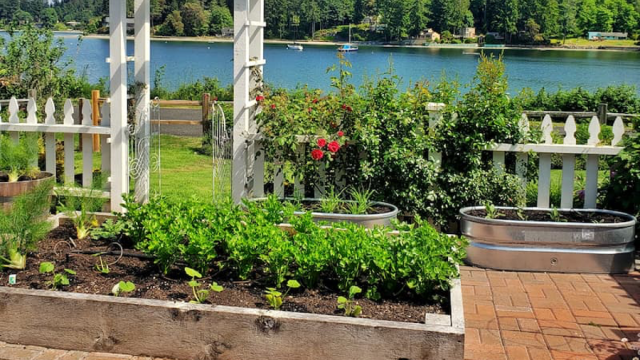 Raised garden beds and white arbor aginst a beautiful lake backdrop