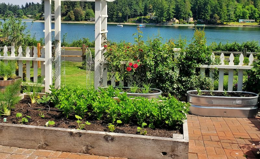 Cultivating Success: Gardening Mistakes to Avoid