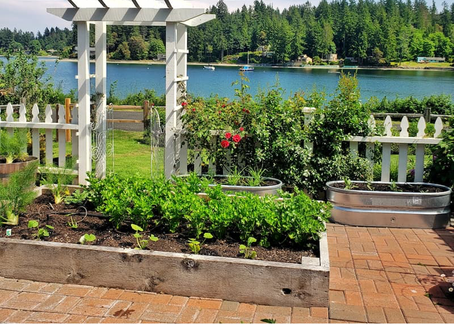 Raised garden beds and white arbor aginst a beautiful lake backdrop