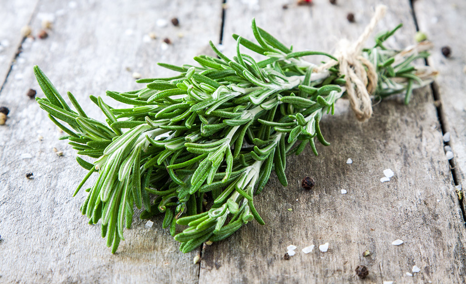 bundle of fresh rosemary