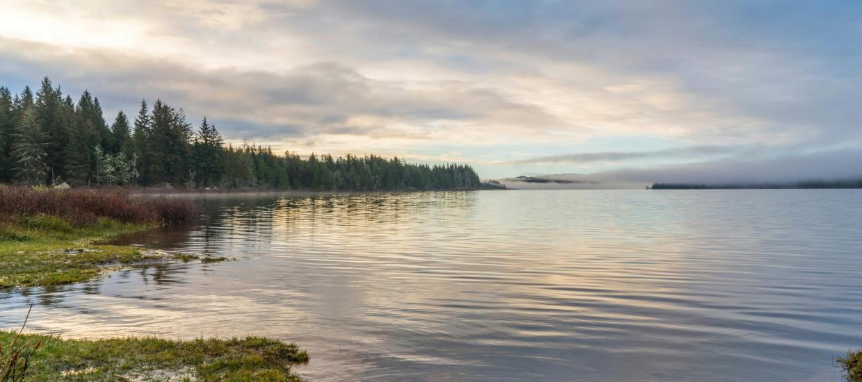 The Science of Lakes: A Q&A Chat with a Limnologist