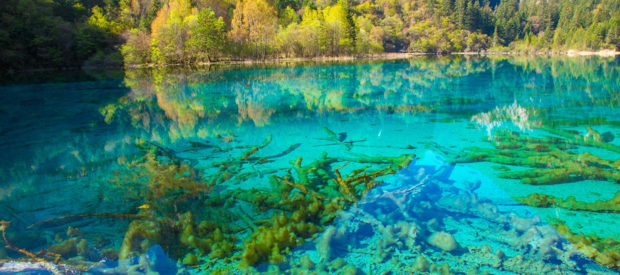 7 Colorful Lakes Around the World
