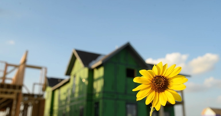 Home image illustrating clean air with a sunflower in foreground
