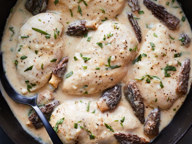 Morel mushrooms in a creamy chicken terragon entree
