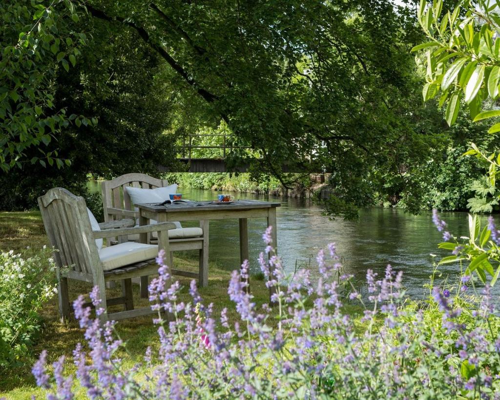 Rewilding and Native Plants
