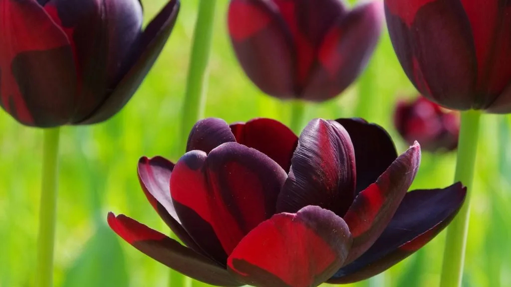 Moody and Curated Colors
