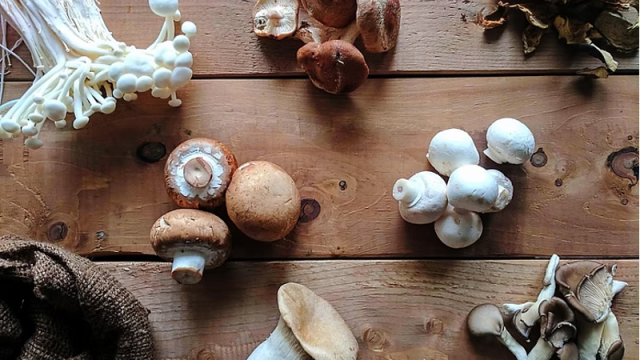 Fresh edible mushroom varieties on a wooden tabletop