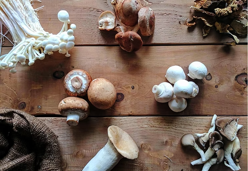 Mushroom Magic: Bring Earthy Elegance to Your Lakeside Meals with These Edible Varieties