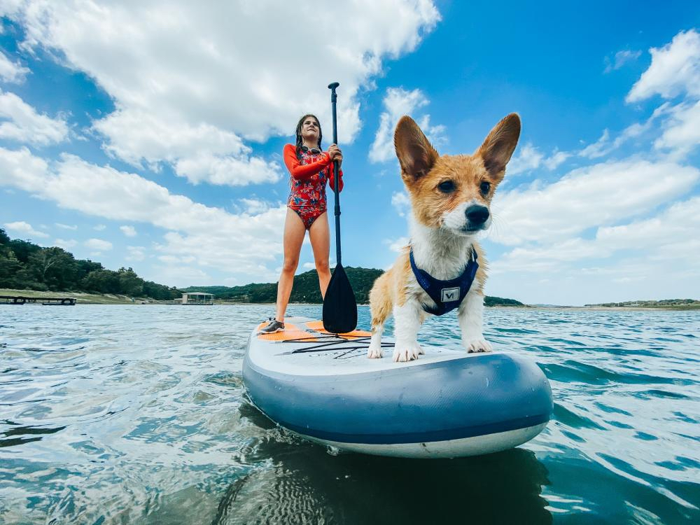 Stand-up Paddleboarding with pup, Lake Travis, Austin, TX