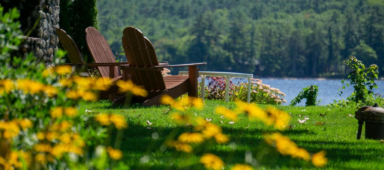 Three Mental Health Benefits of Gardening