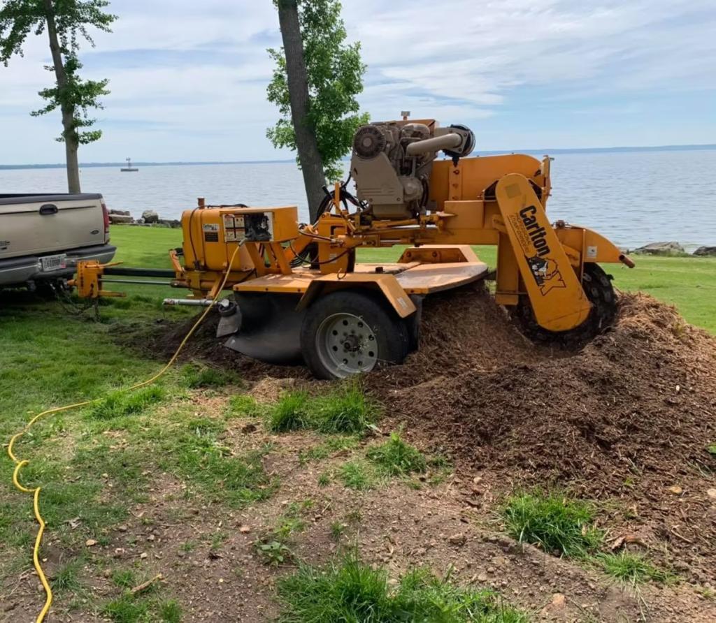 Grind the Stump Below Grade