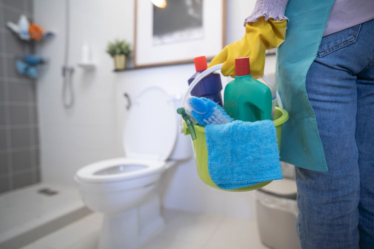 Sanitize the Toilet Thoroughly